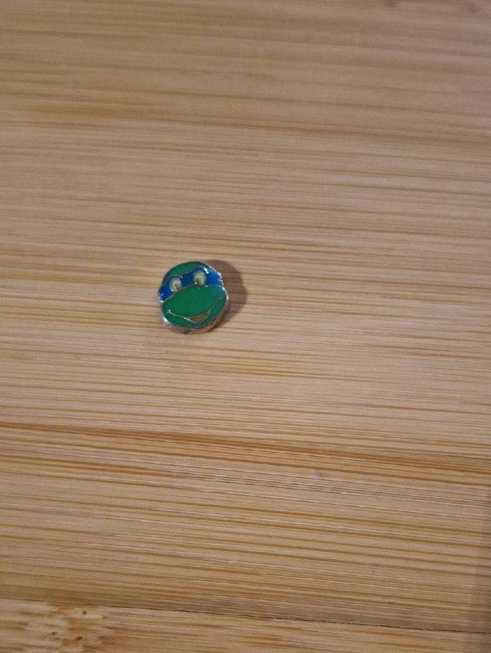 Green & Blue (Leonardo) Cartoon Turtle Face Charm
